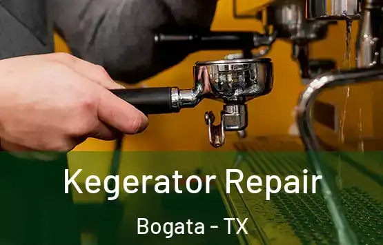  Kegerator Repair Bogata - TX