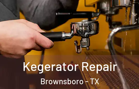  Kegerator Repair Brownsboro - TX