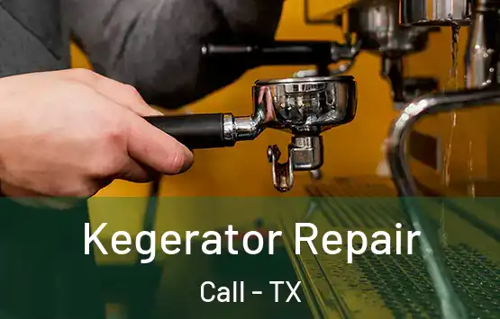  Kegerator Repair Call - TX