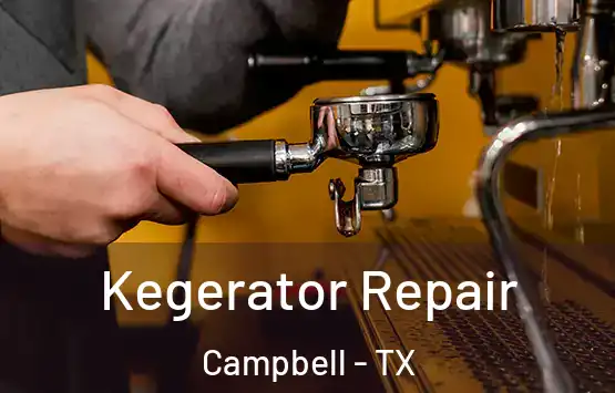  Kegerator Repair Campbell - TX