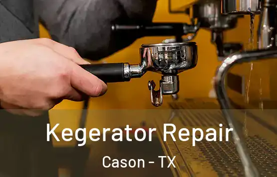  Kegerator Repair Cason - TX