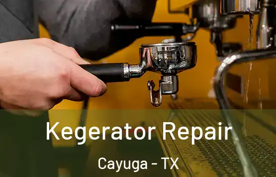  Kegerator Repair Cayuga - TX