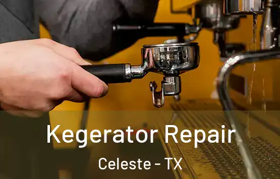  Kegerator Repair Celeste - TX