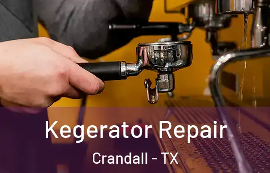  Kegerator Repair Crandall - TX
