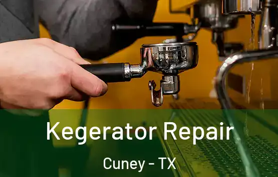  Kegerator Repair Cuney - TX
