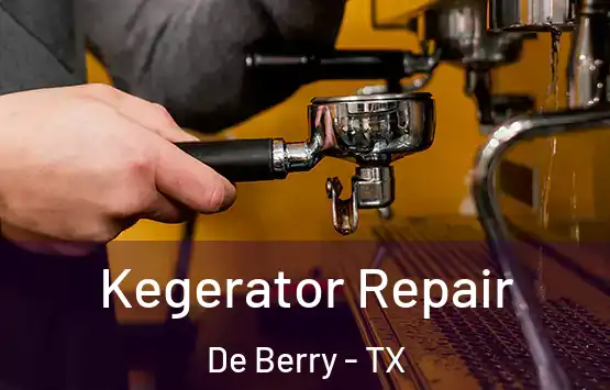  Kegerator Repair De Berry - TX