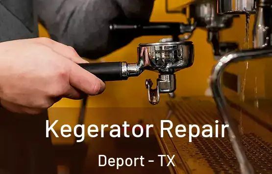  Kegerator Repair Deport - TX