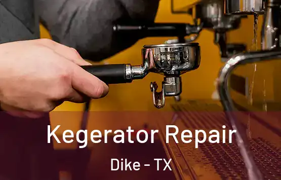  Kegerator Repair Dike - TX