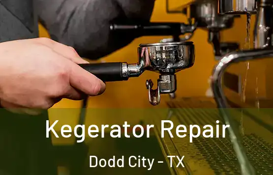  Kegerator Repair Dodd City - TX