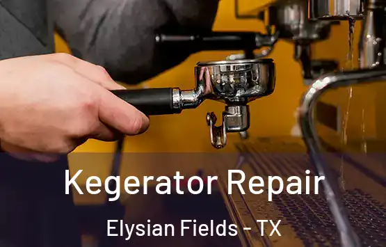  Kegerator Repair Elysian Fields - TX