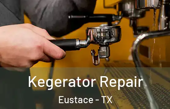 Kegerator Repair Eustace - TX
