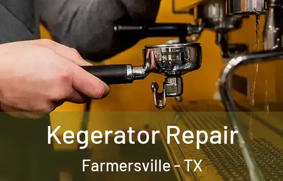  Kegerator Repair Farmersville - TX
