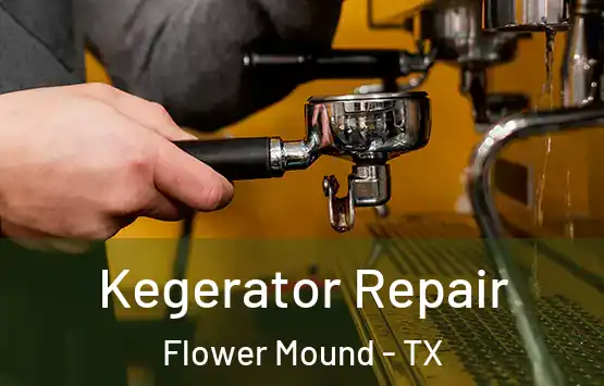  Kegerator Repair Flower Mound - TX