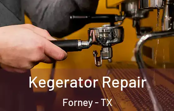  Kegerator Repair Forney - TX