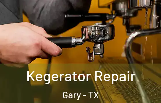  Kegerator Repair Gary - TX