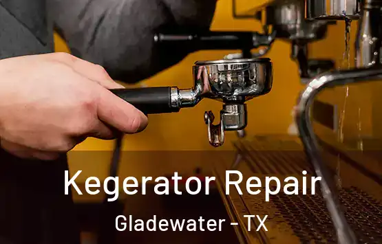  Kegerator Repair Gladewater - TX