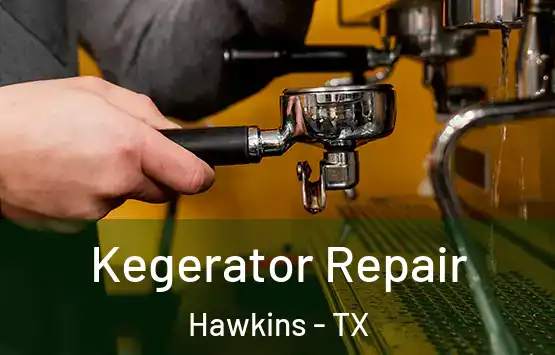  Kegerator Repair Hawkins - TX