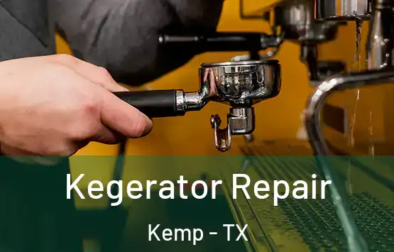  Kegerator Repair Kemp - TX