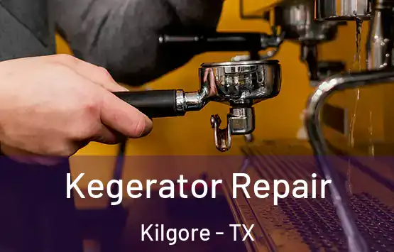  Kegerator Repair Kilgore - TX