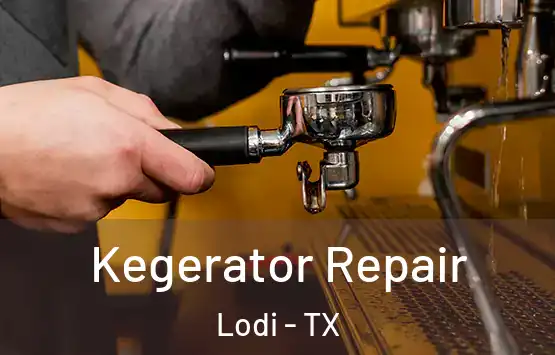  Kegerator Repair Lodi - TX