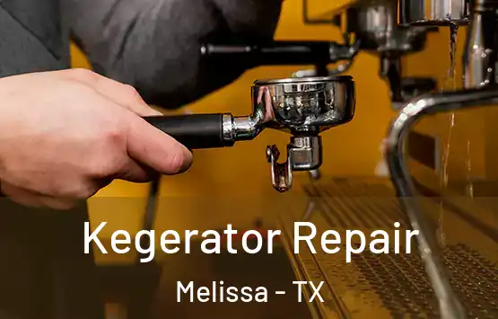  Kegerator Repair Melissa - TX