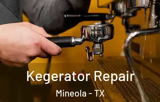  Kegerator Repair Mineola - TX
