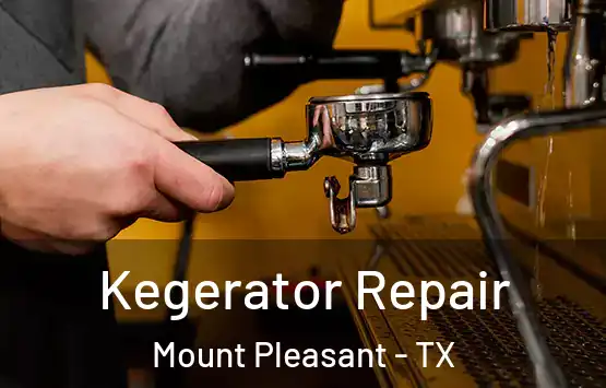  Kegerator Repair Mount Pleasant - TX