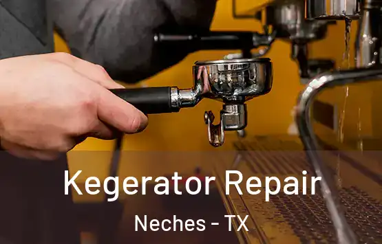  Kegerator Repair Neches - TX
