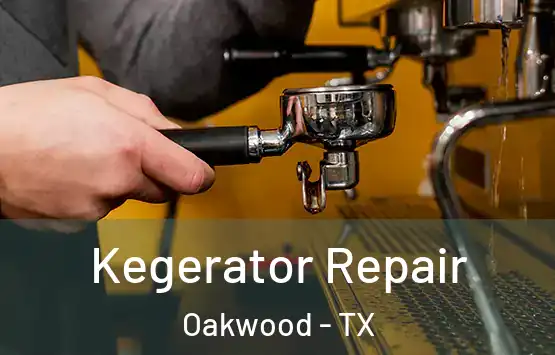  Kegerator Repair Oakwood - TX