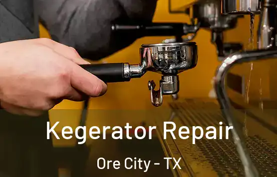  Kegerator Repair Ore City - TX