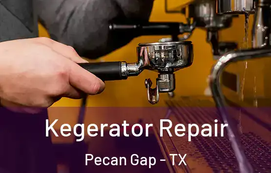  Kegerator Repair Pecan Gap - TX