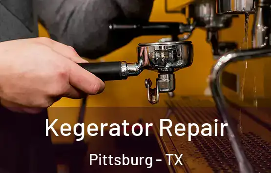  Kegerator Repair Pittsburg - TX