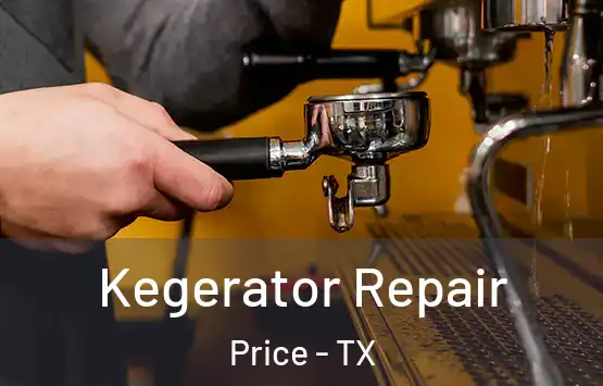  Kegerator Repair Price - TX