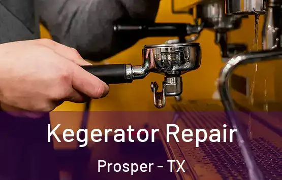  Kegerator Repair Prosper - TX