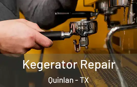  Kegerator Repair Quinlan - TX