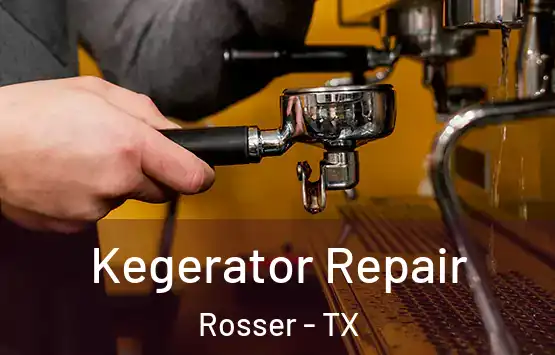  Kegerator Repair Rosser - TX