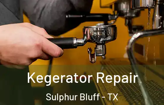  Kegerator Repair Sulphur Bluff - TX