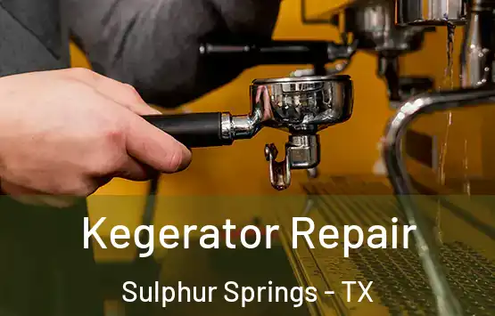  Kegerator Repair Sulphur Springs - TX