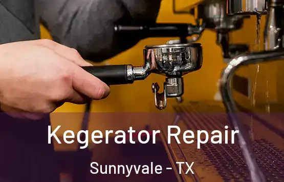  Kegerator Repair Sunnyvale - TX