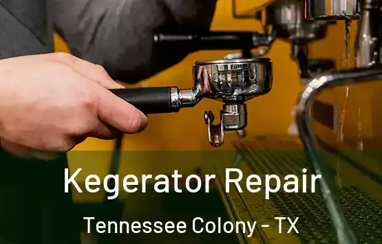  Kegerator Repair Tennessee Colony - TX