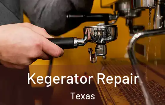  Kegerator Repair Texas