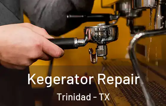  Kegerator Repair Trinidad - TX