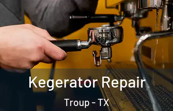  Kegerator Repair Troup - TX
