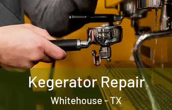  Kegerator Repair Whitehouse - TX