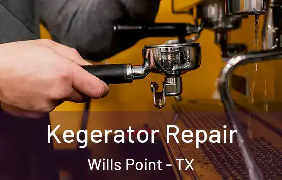  Kegerator Repair Wills Point - TX