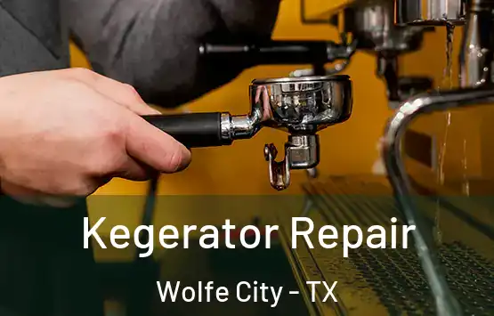  Kegerator Repair Wolfe City - TX