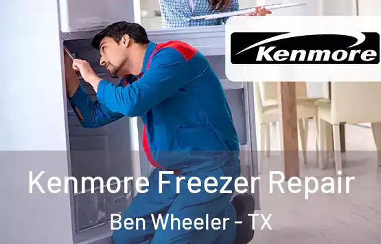  Kenmore Freezer Repair Ben Wheeler - TX