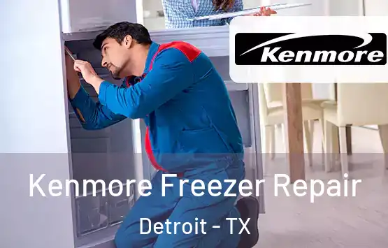  Kenmore Freezer Repair Detroit - TX