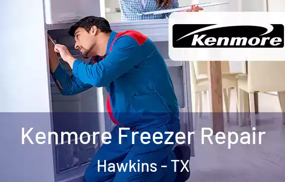  Kenmore Freezer Repair Hawkins - TX