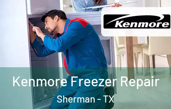  Kenmore Freezer Repair Sherman - TX